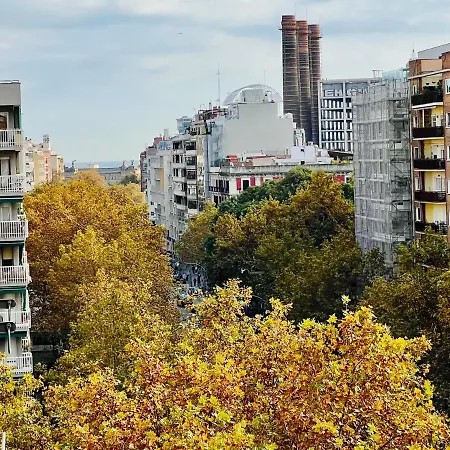 Your Second In With Private And Private Bathroom Close To Montjuic, Pl Espana, La Rambla, Ferry Port Homestay *
